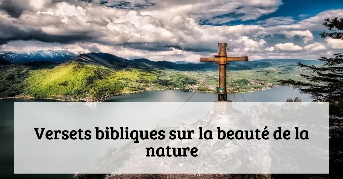 Versets bibliques sur la beauté de la nature