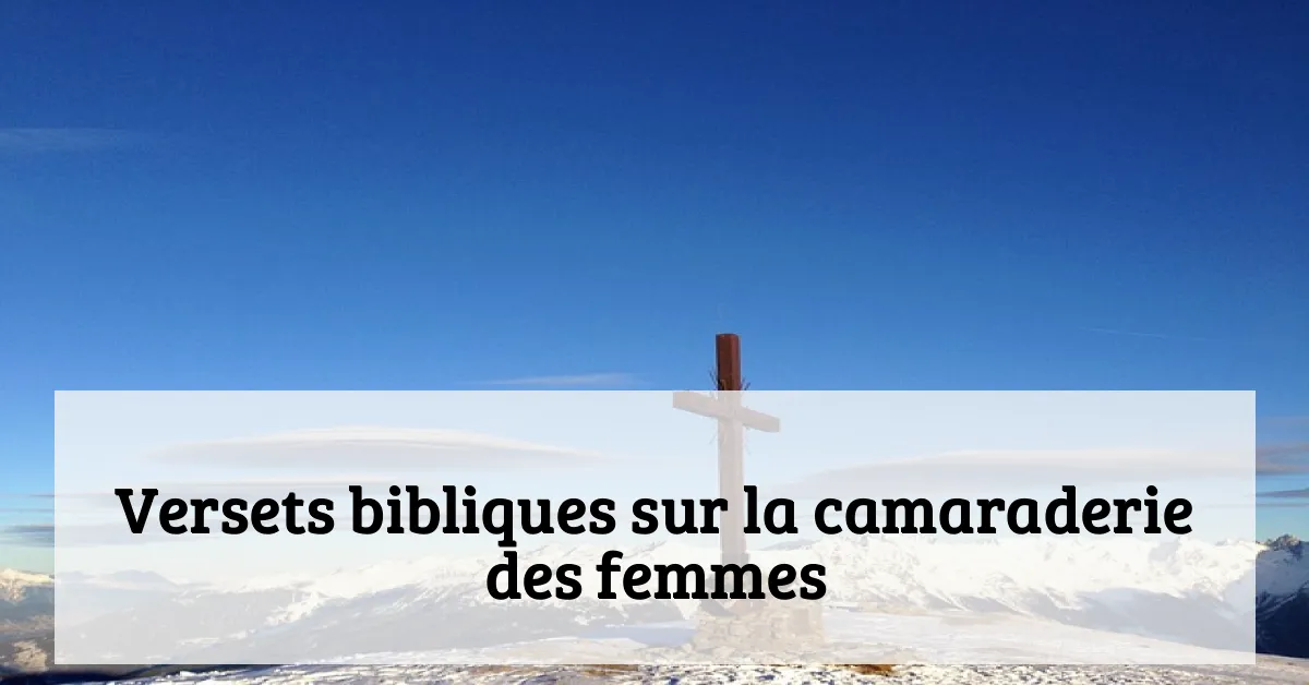 Versets bibliques sur la camaraderie des femmes