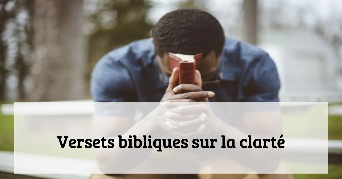 Versets bibliques sur la clarté
