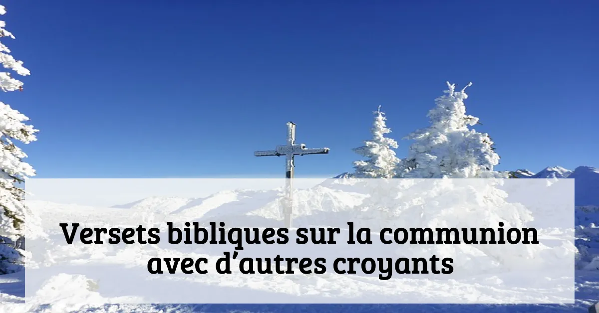 Versets bibliques sur la communion avec d’autres croyants