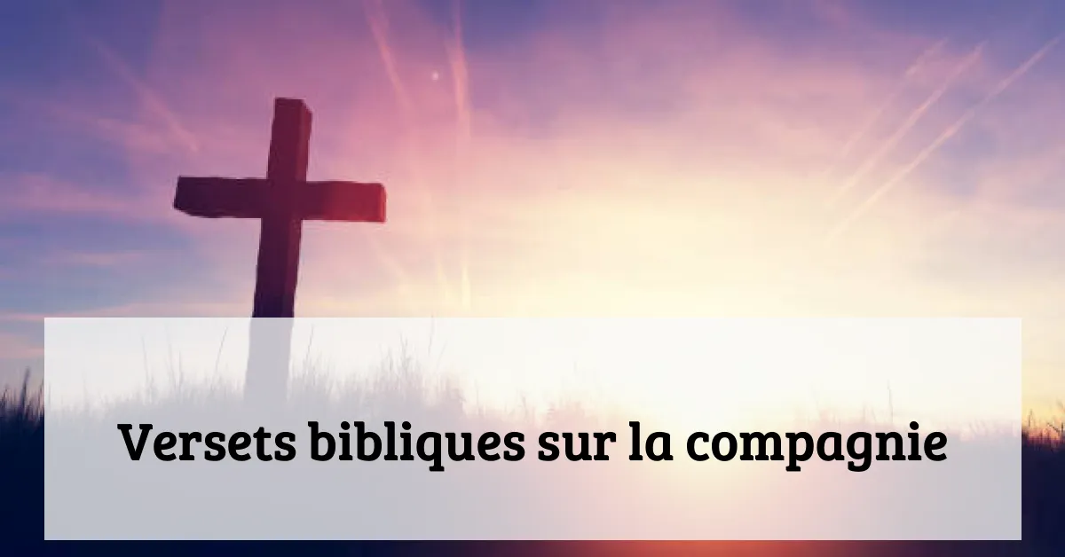 Versets bibliques sur la compagnie