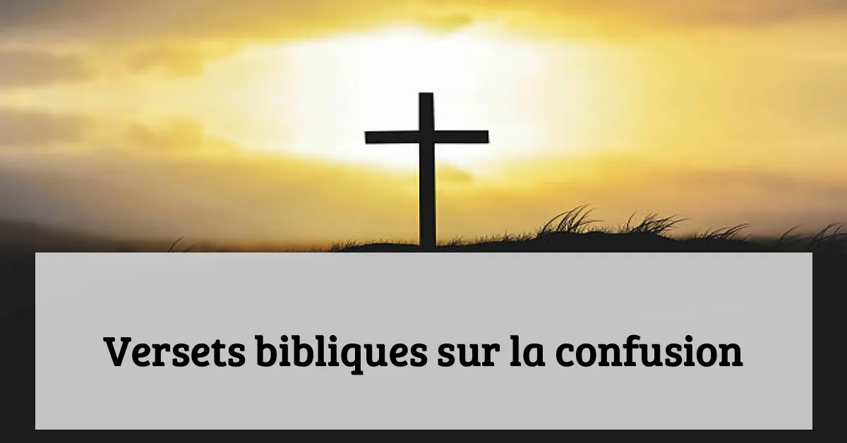 Versets bibliques sur la confusion
