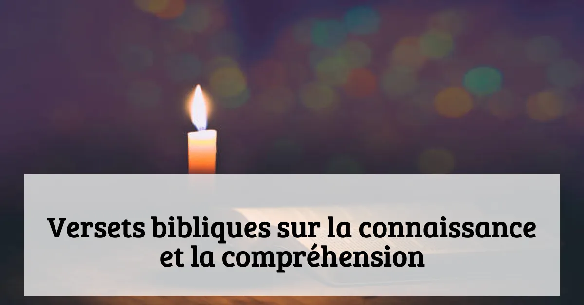 Versets bibliques sur la connaissance et la compréhension