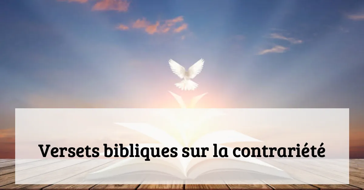 Versets bibliques sur la contrariété