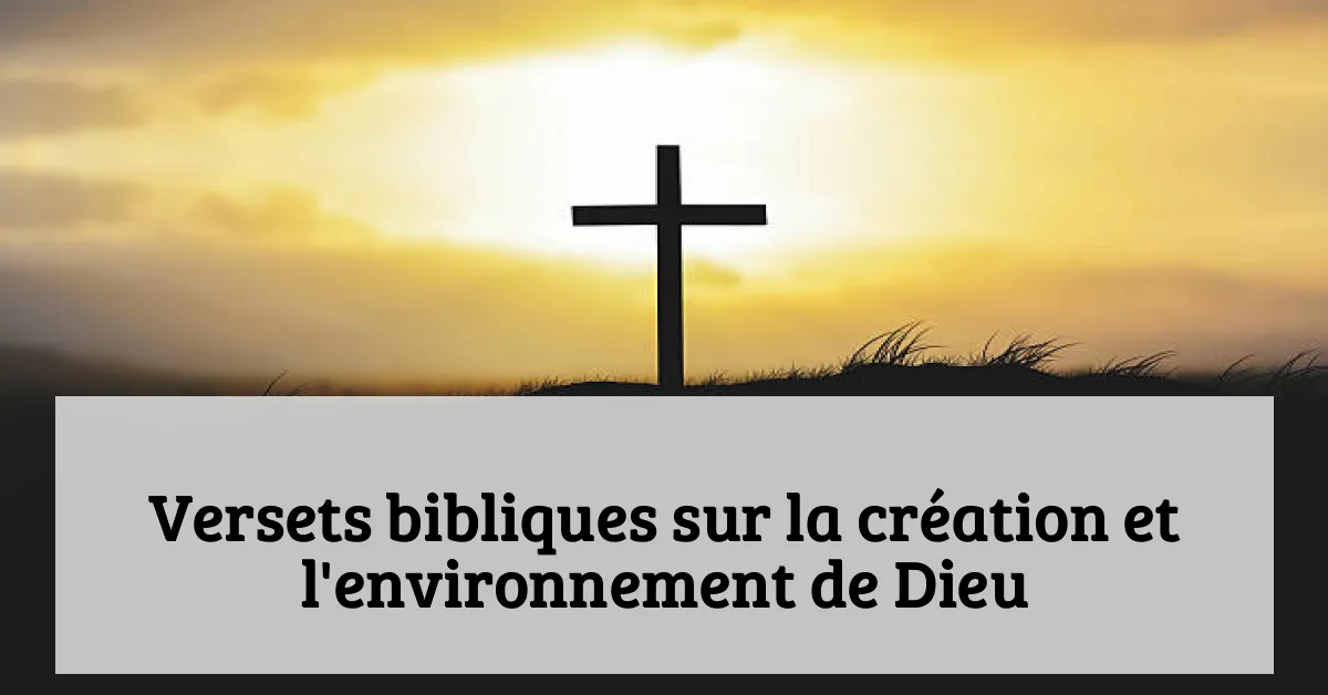 Versets bibliques sur la création et l'environnement de Dieu