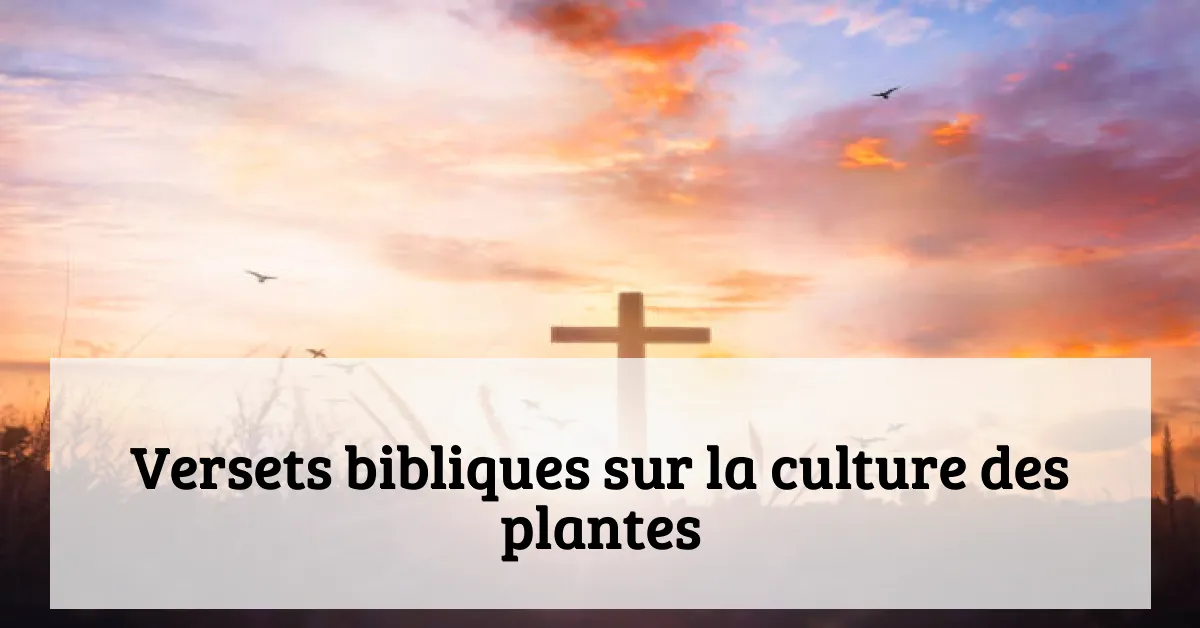 Versets bibliques sur la culture des plantes