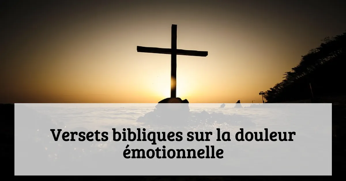Versets bibliques sur la douleur émotionnelle