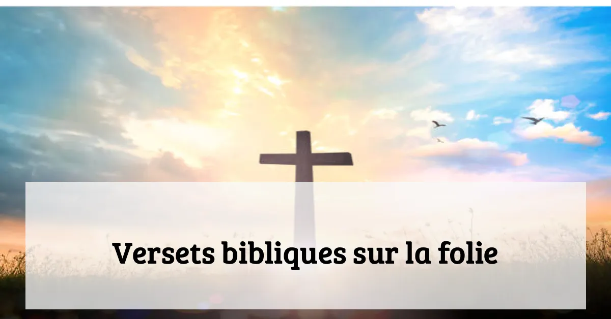 Versets bibliques sur la folie