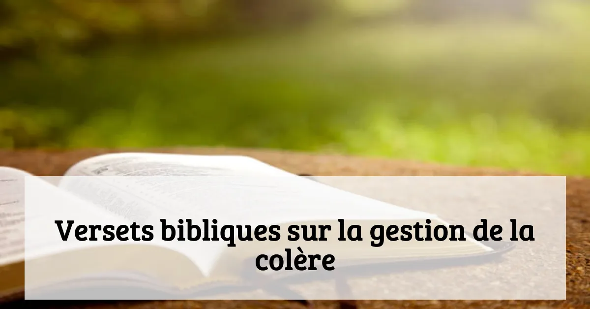 Versets bibliques sur la gestion de la colère