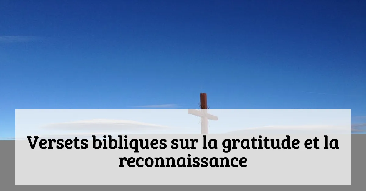 Versets bibliques sur la gratitude et la reconnaissance