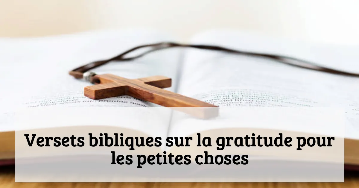 Versets bibliques sur la gratitude pour les petites choses