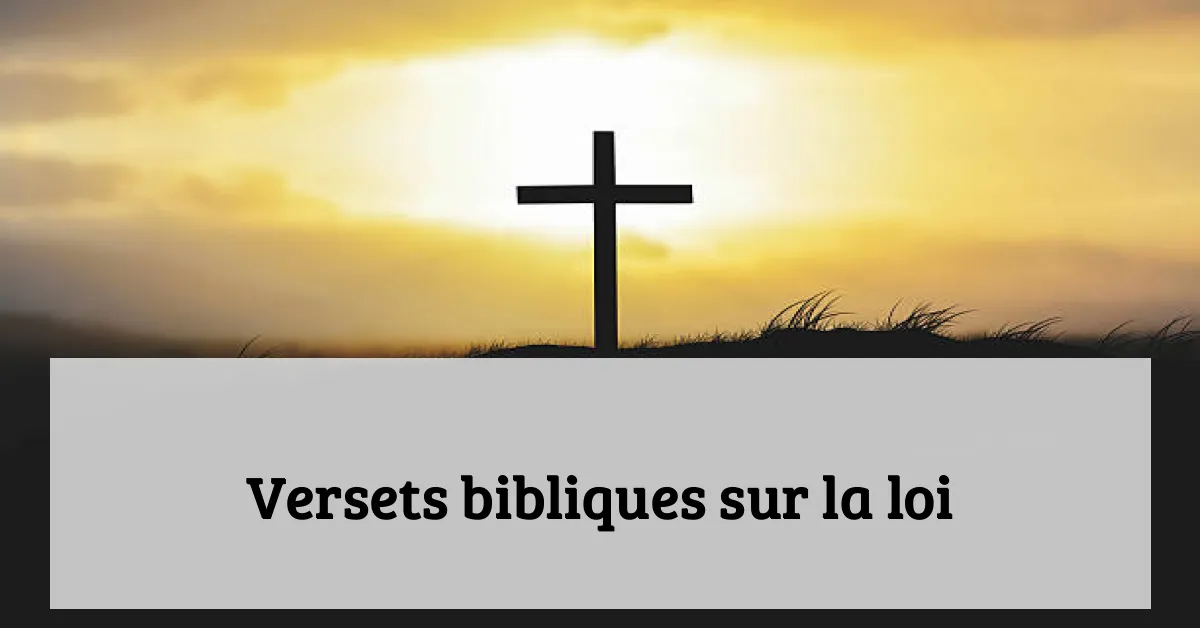 Versets bibliques sur la loi