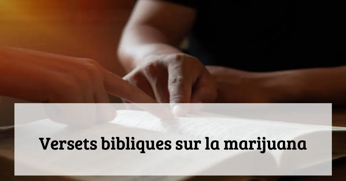 Versets bibliques sur la marijuana