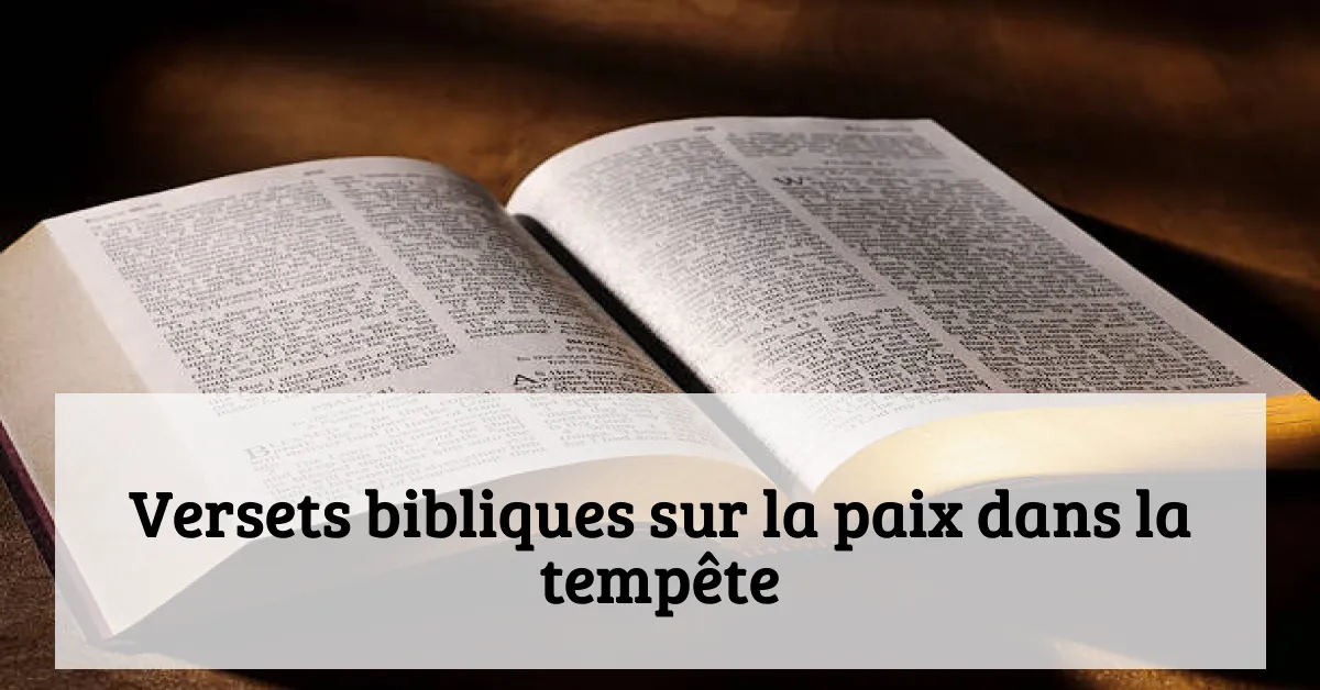 Versets bibliques sur la paix dans la tempête