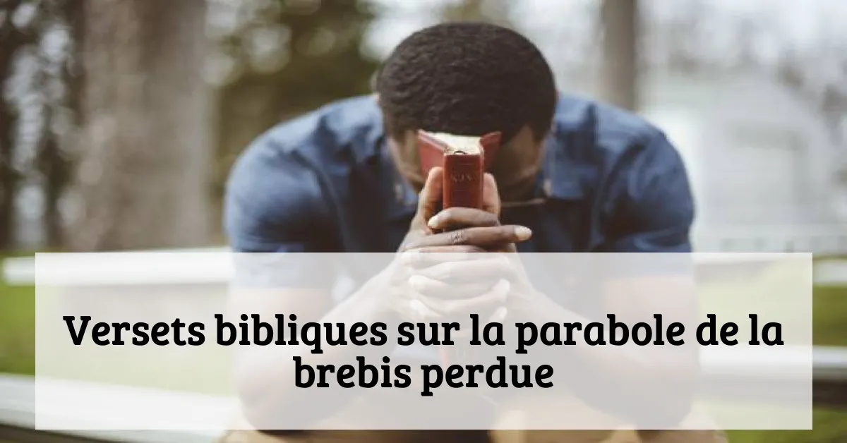 Versets bibliques sur la parabole de la brebis perdue