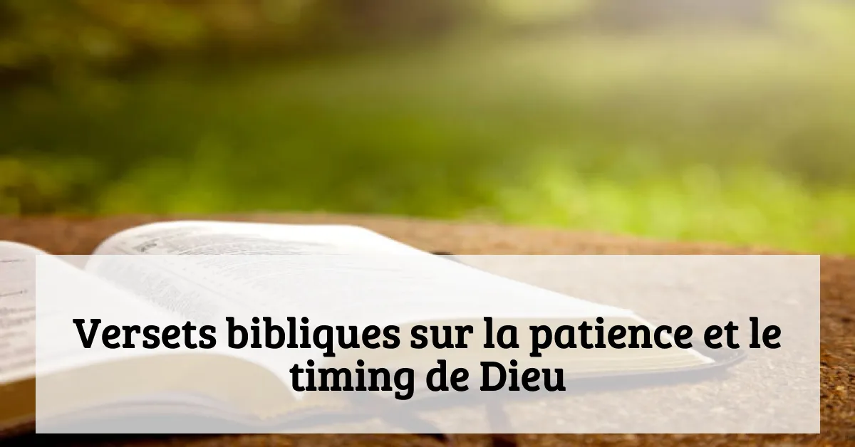 Versets bibliques sur la patience et le timing de Dieu