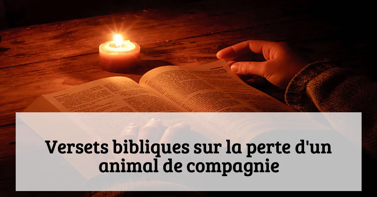 Versets bibliques sur la perte d'un animal de compagnie
