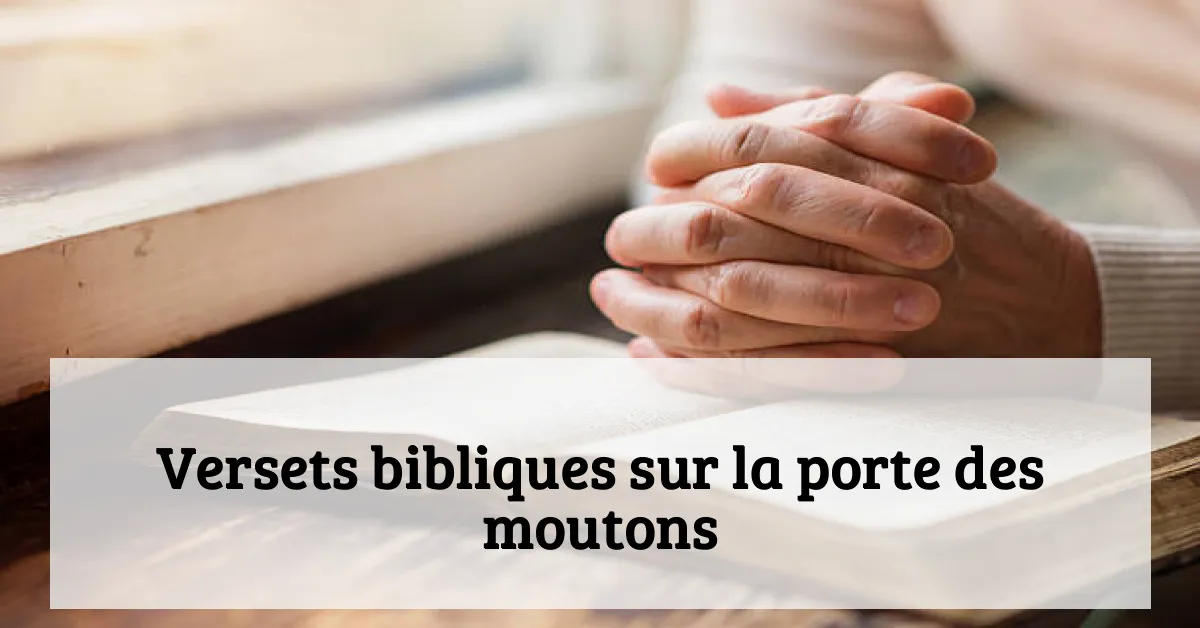 Versets bibliques sur la porte des moutons