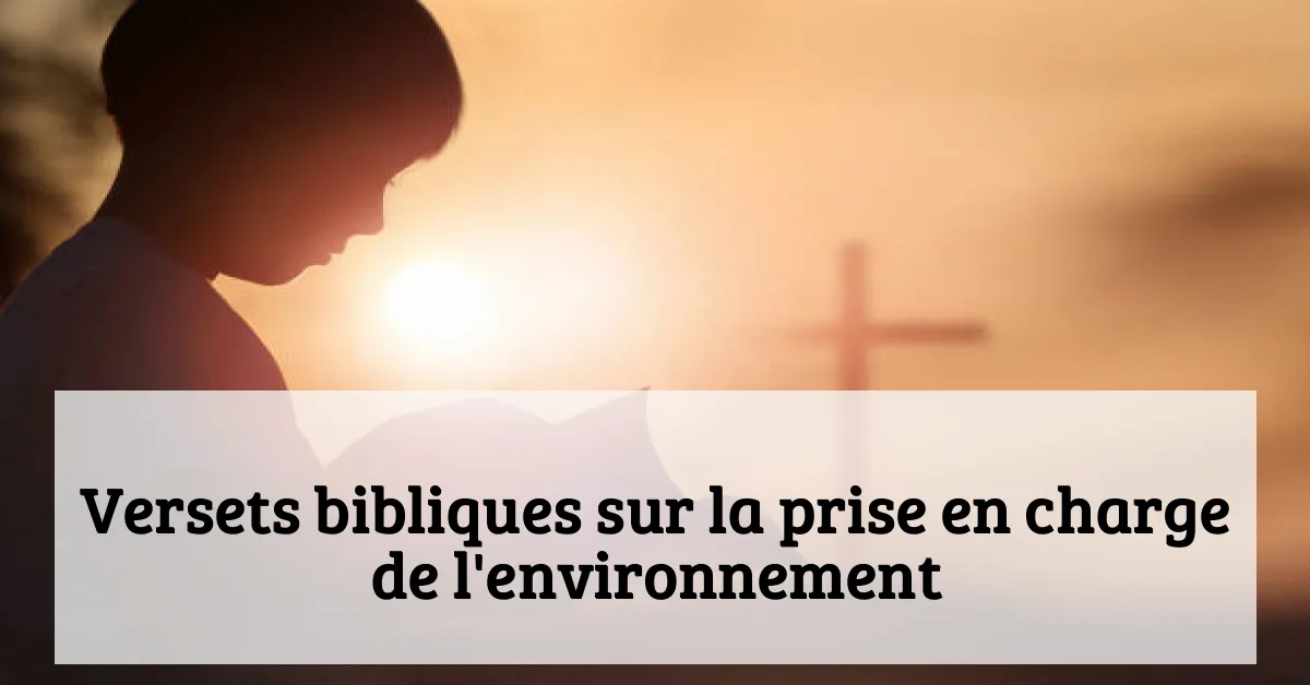 Versets bibliques sur la prise en charge de l'environnement