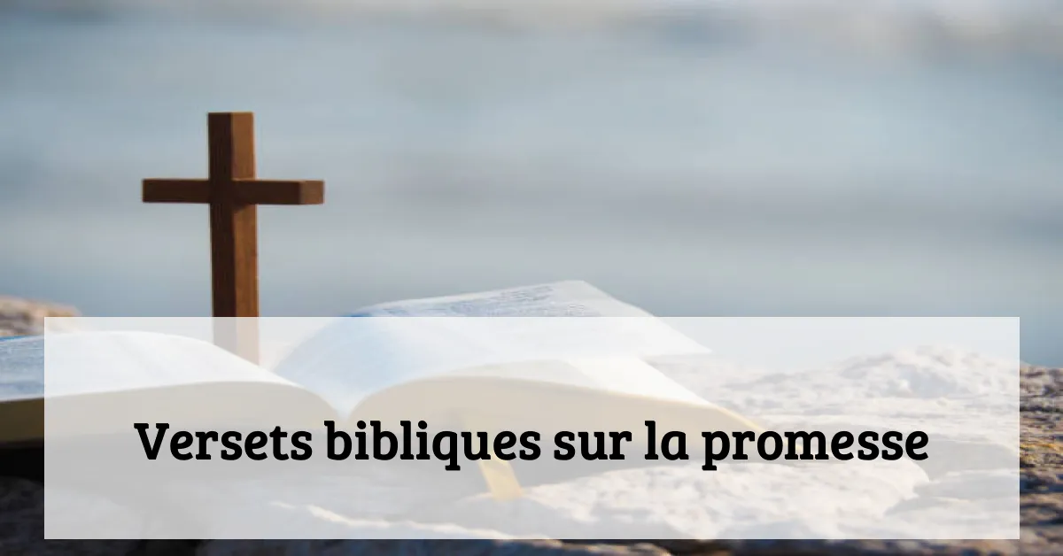 Versets bibliques sur la promesse