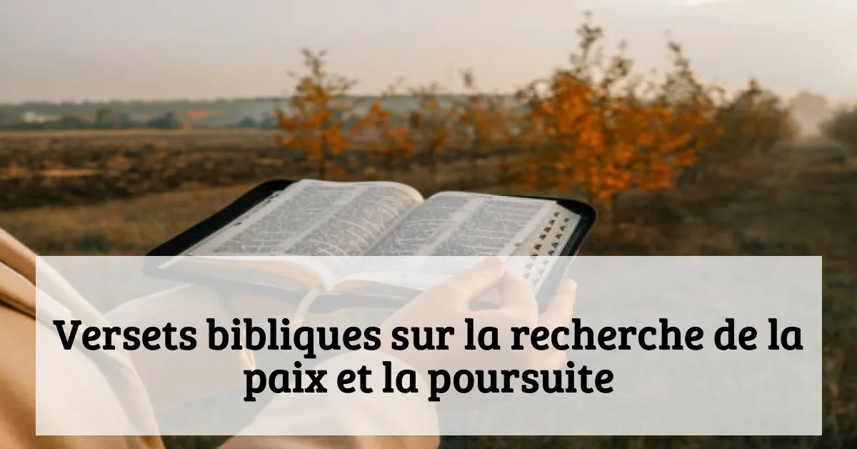 Versets bibliques sur la recherche de la paix et la poursuite