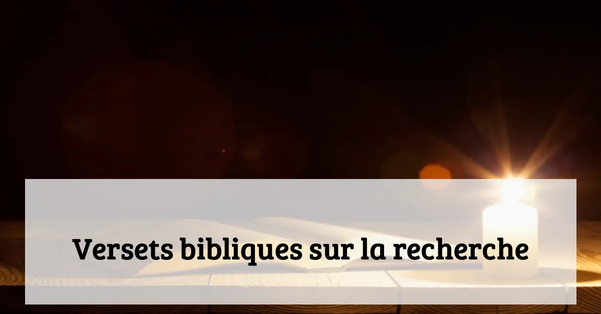 Versets bibliques sur la recherche