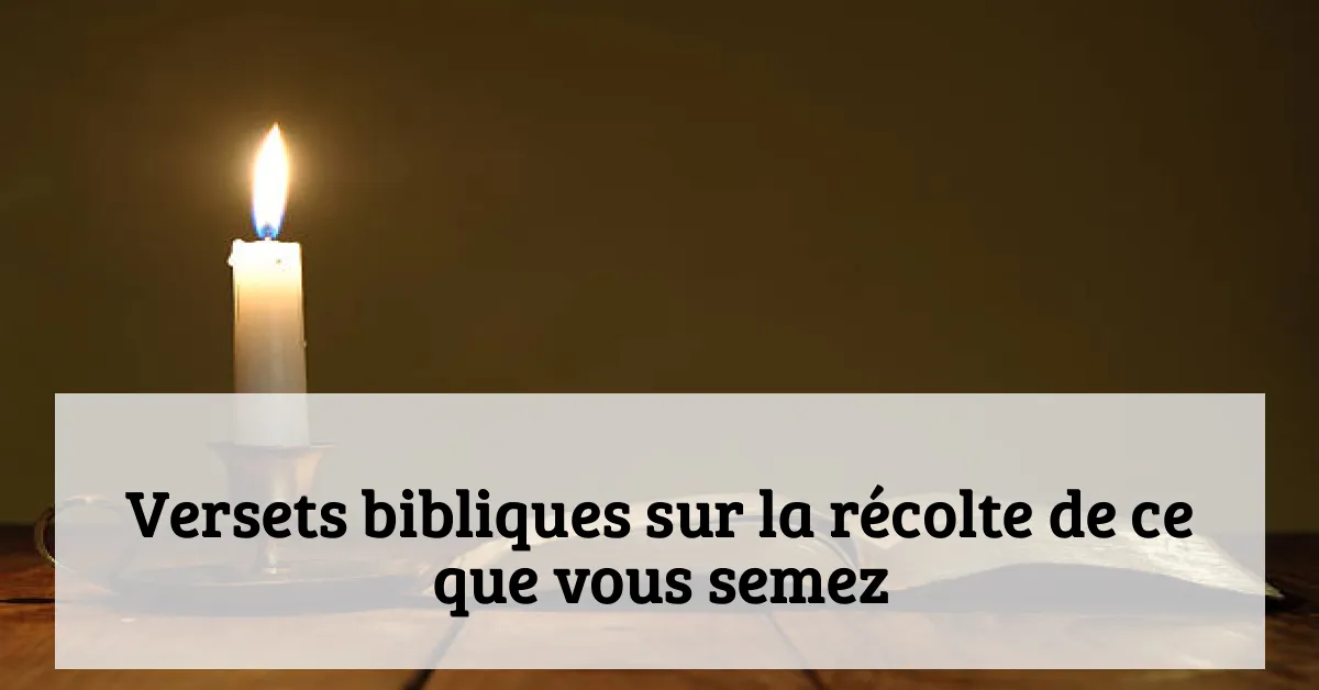 Versets bibliques sur la récolte de ce que vous semez