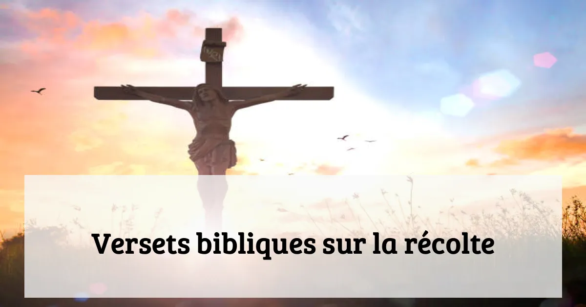 Versets bibliques sur la récolte