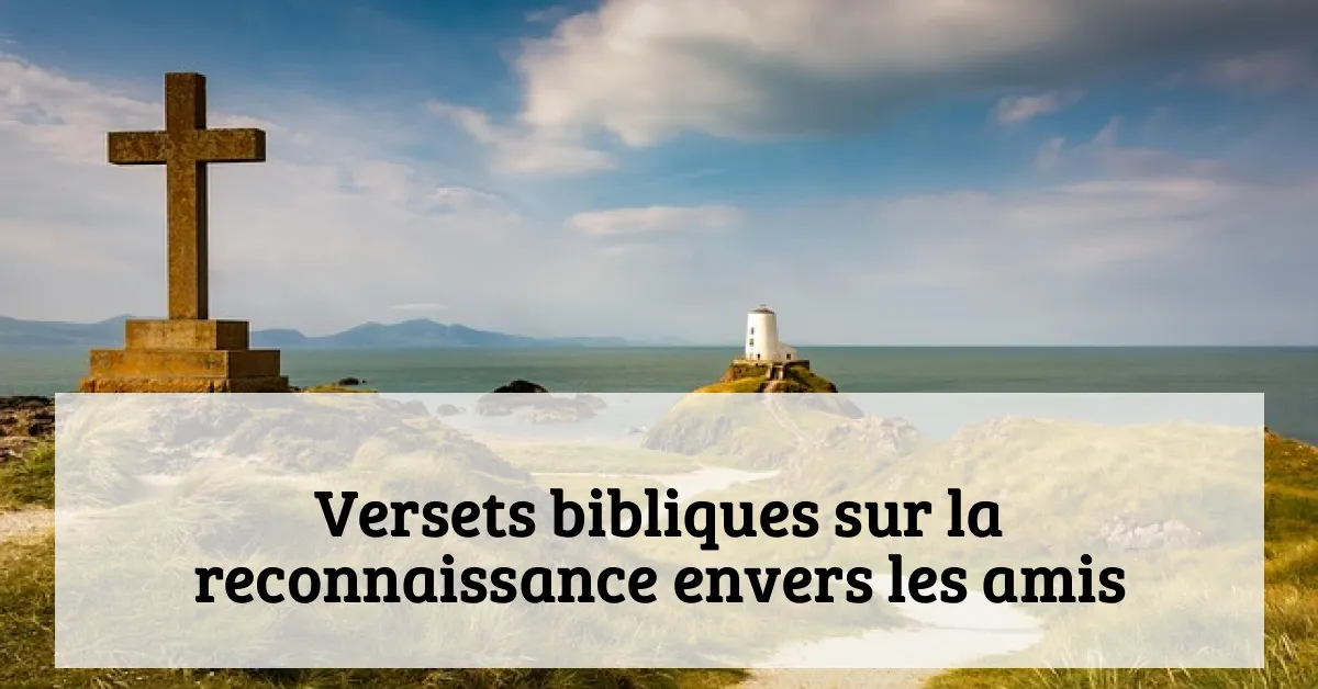 Versets bibliques sur la reconnaissance envers les amis