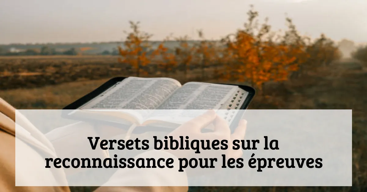 Versets bibliques sur la reconnaissance pour les épreuves