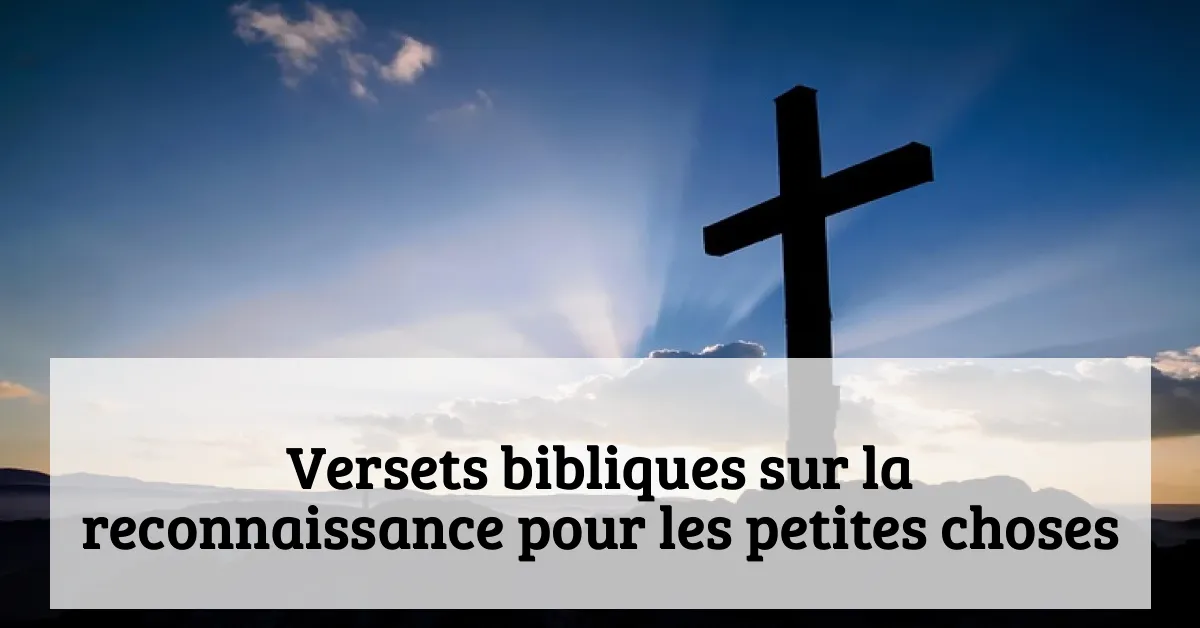 Versets bibliques sur la reconnaissance pour les petites choses