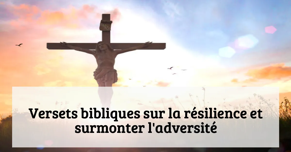 Versets bibliques sur la résilience et surmonter l'adversité