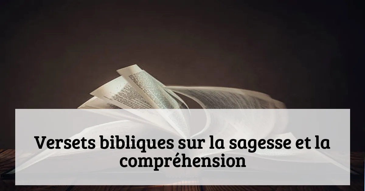 Versets bibliques sur la sagesse et la compréhension