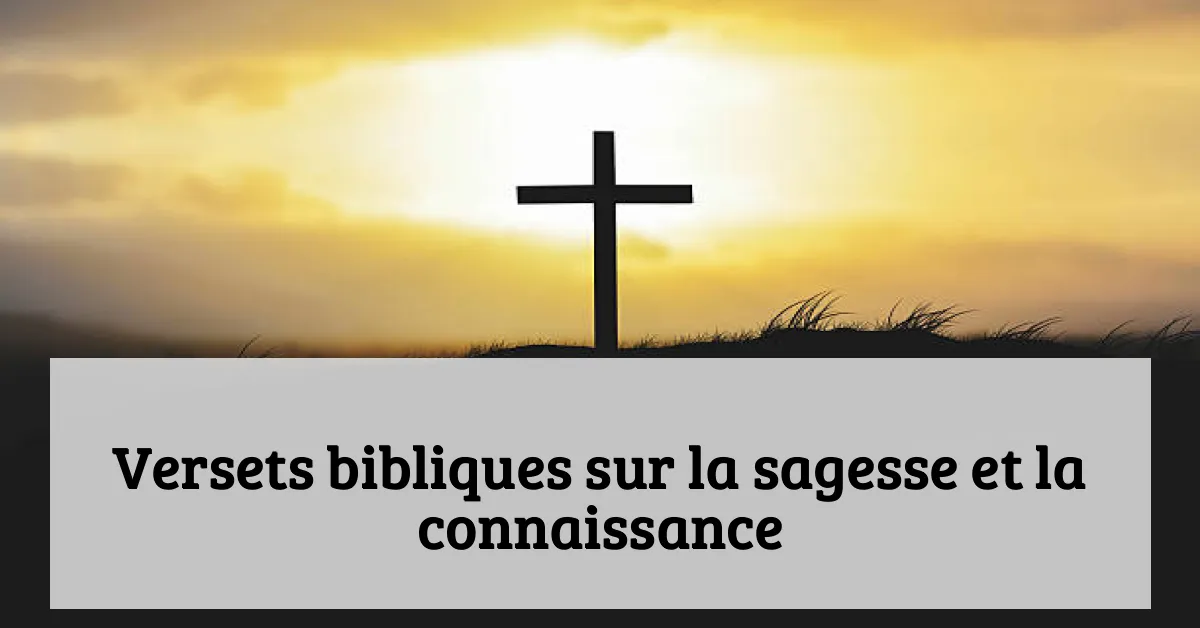 Versets bibliques sur la sagesse et la connaissance