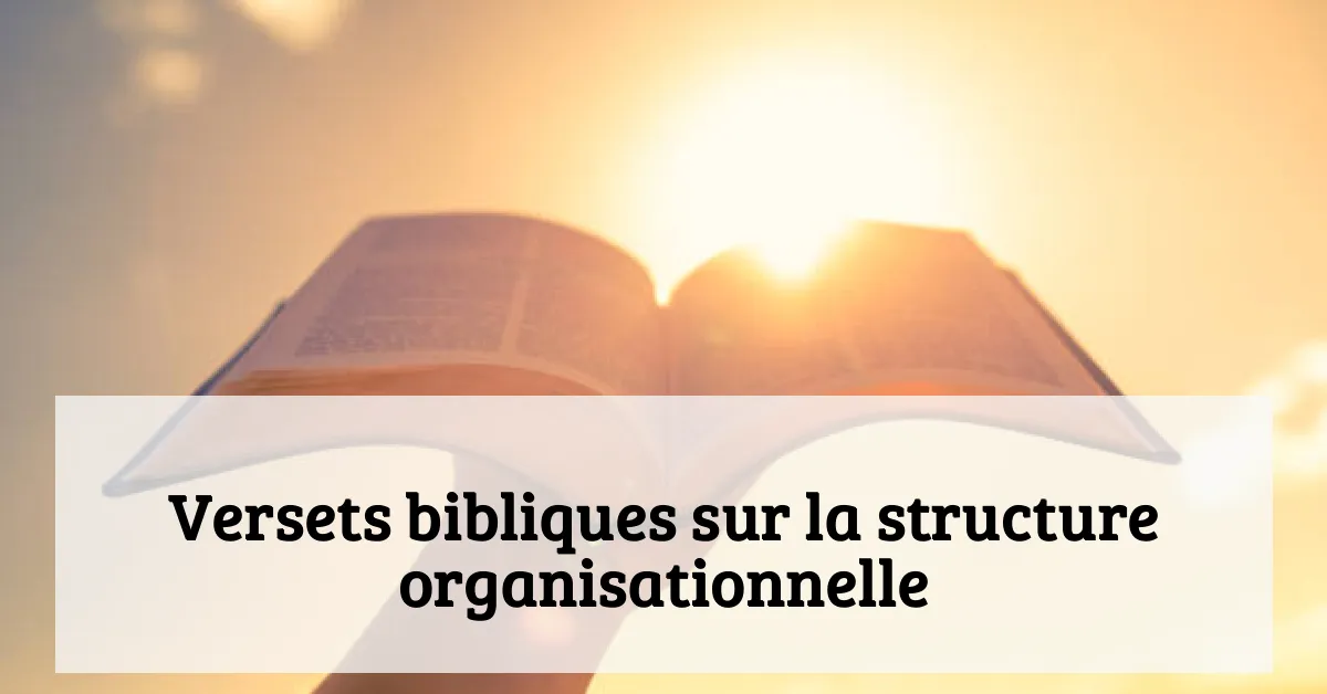 Versets bibliques sur la structure organisationnelle
