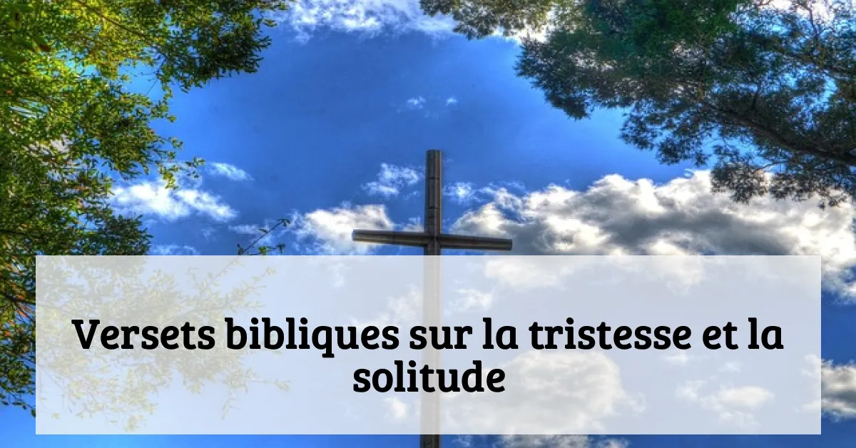 Versets bibliques sur la tristesse et la solitude
