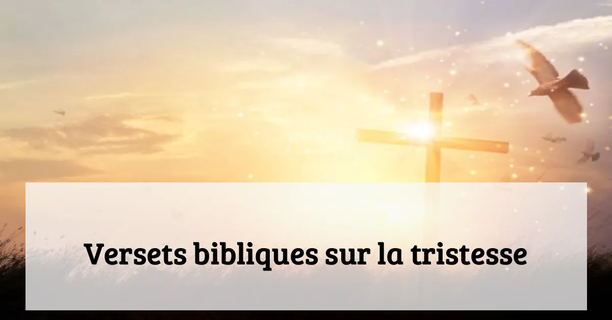 Versets bibliques sur la tristesse