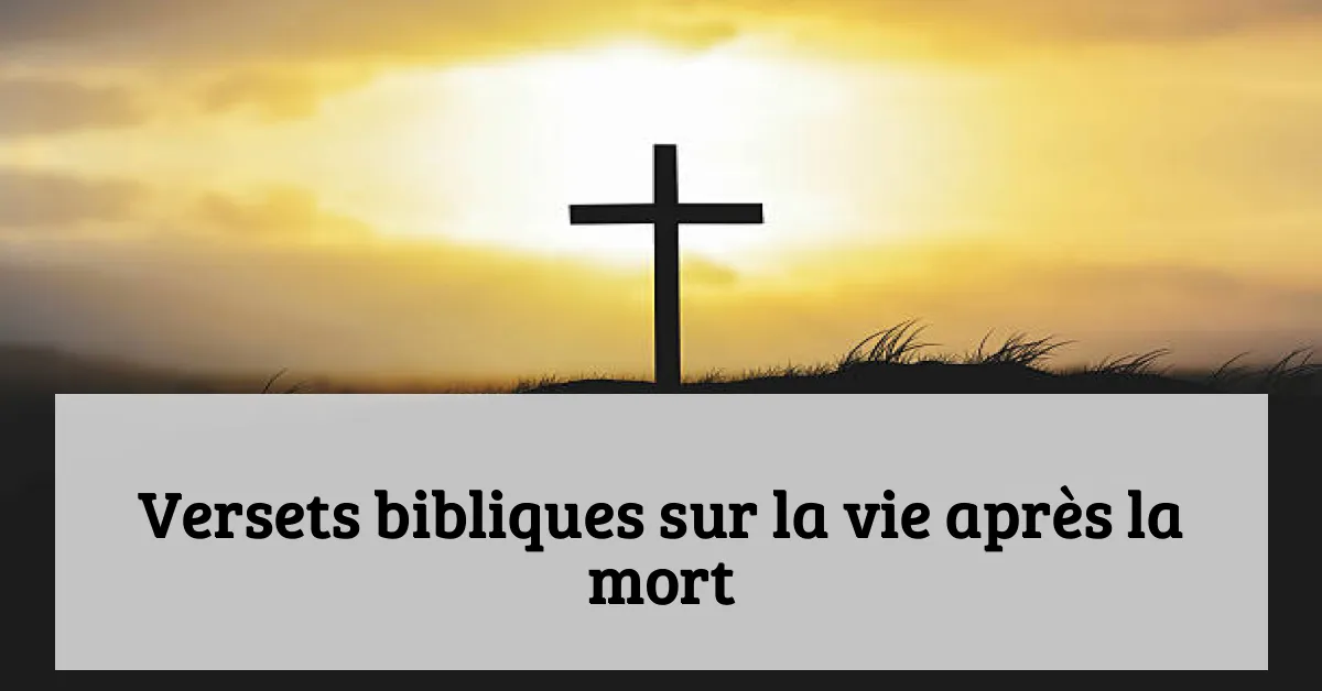 Versets bibliques sur la vie après la mort