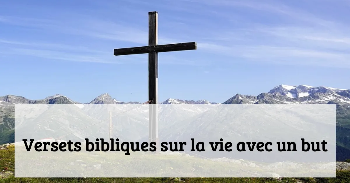 Versets bibliques sur la vie avec un but