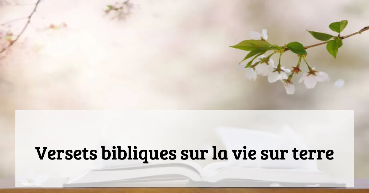 Versets bibliques sur la vie sur terre