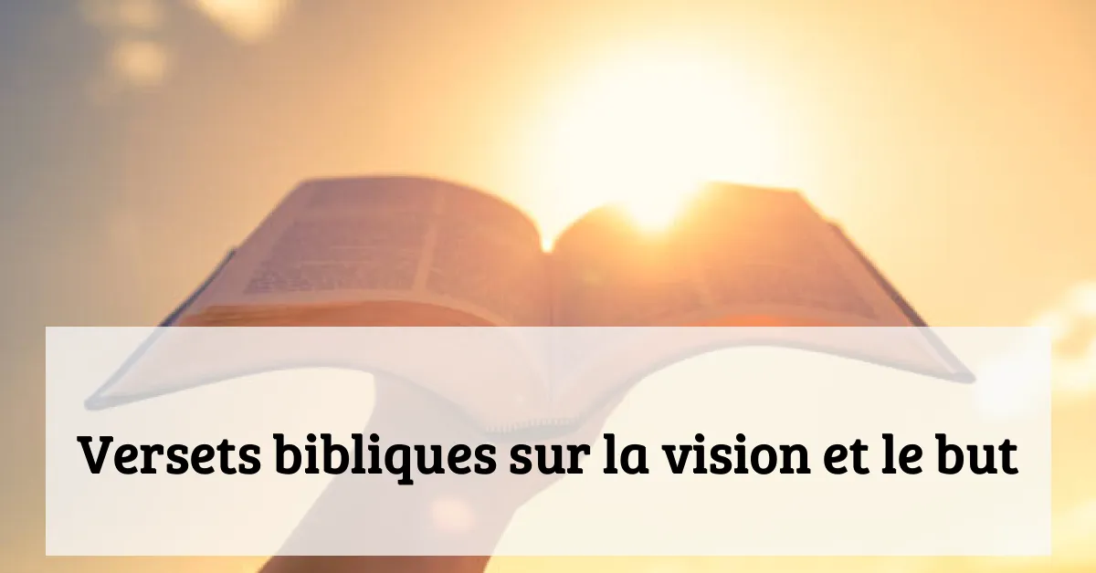 Versets bibliques sur la vision et le but