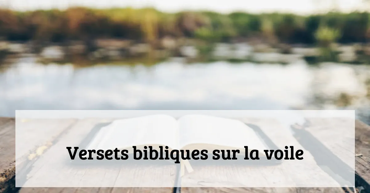 Versets bibliques sur la voile