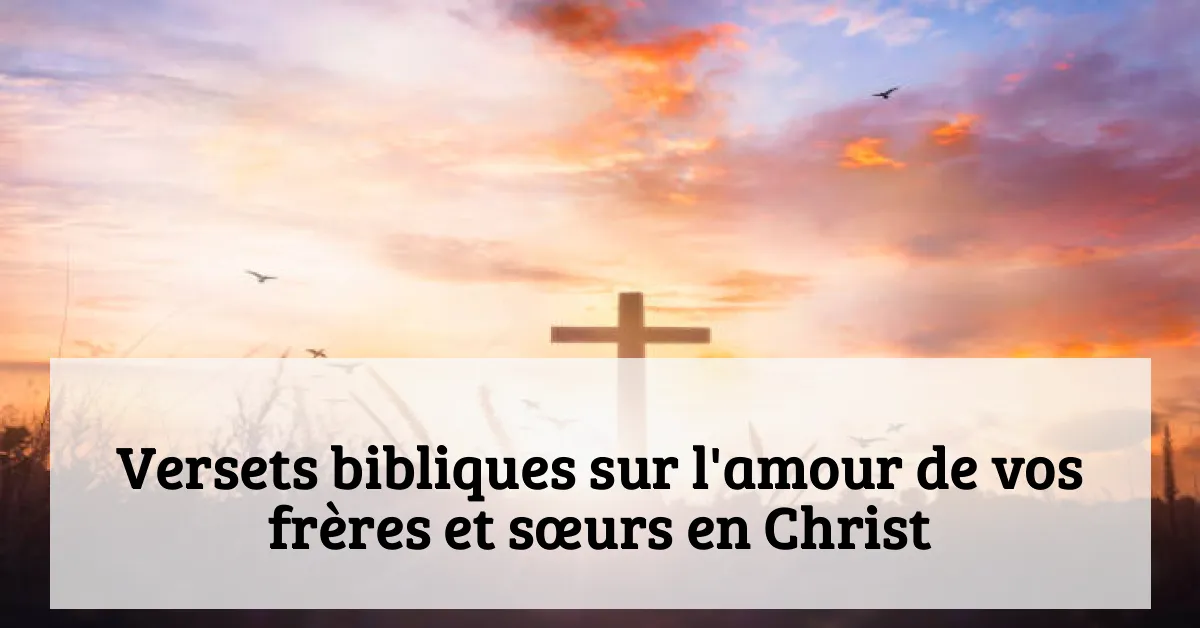 Versets bibliques sur l'amour de vos frères et sœurs en Christ