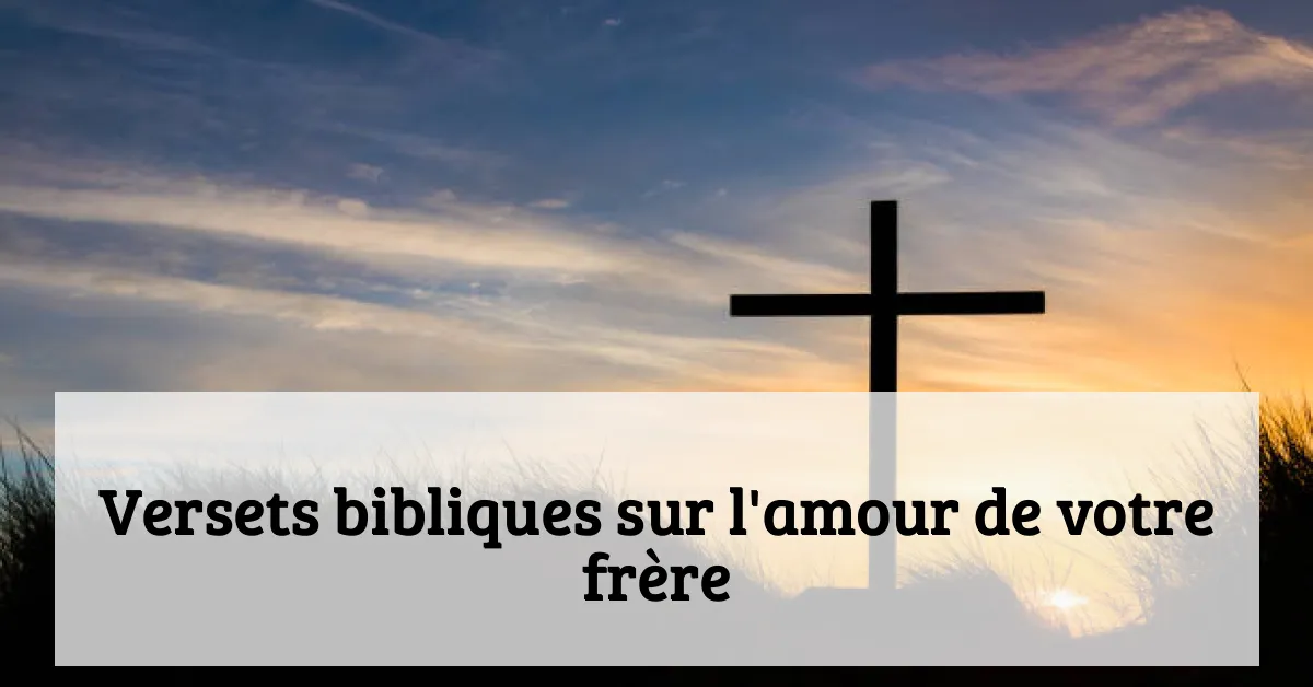 Versets bibliques sur l'amour de votre frère