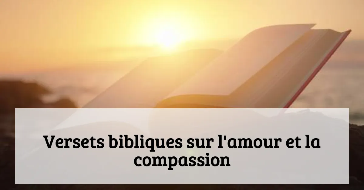 Versets bibliques sur l'amour et la compassion
