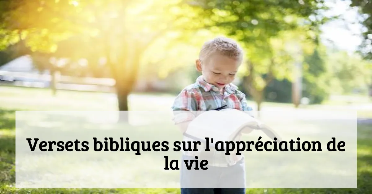 Versets bibliques sur l'appréciation de la vie