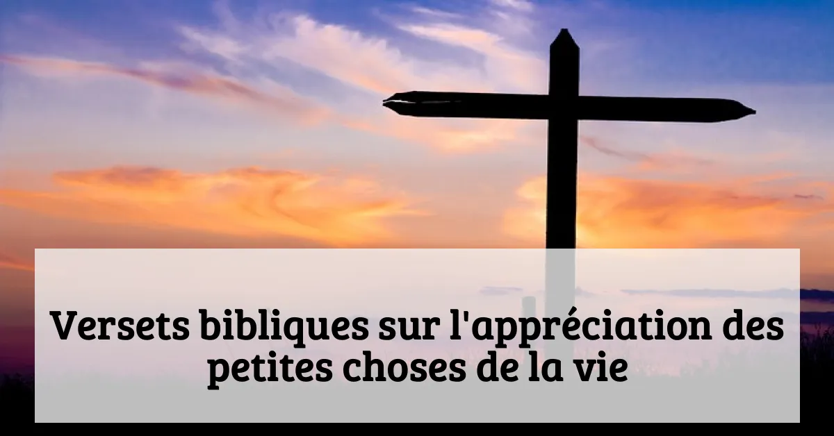 Versets bibliques sur l'appréciation des petites choses de la vie