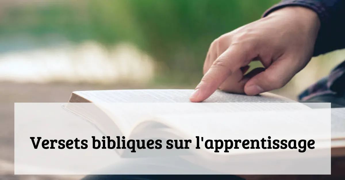 Versets bibliques sur l'apprentissage
