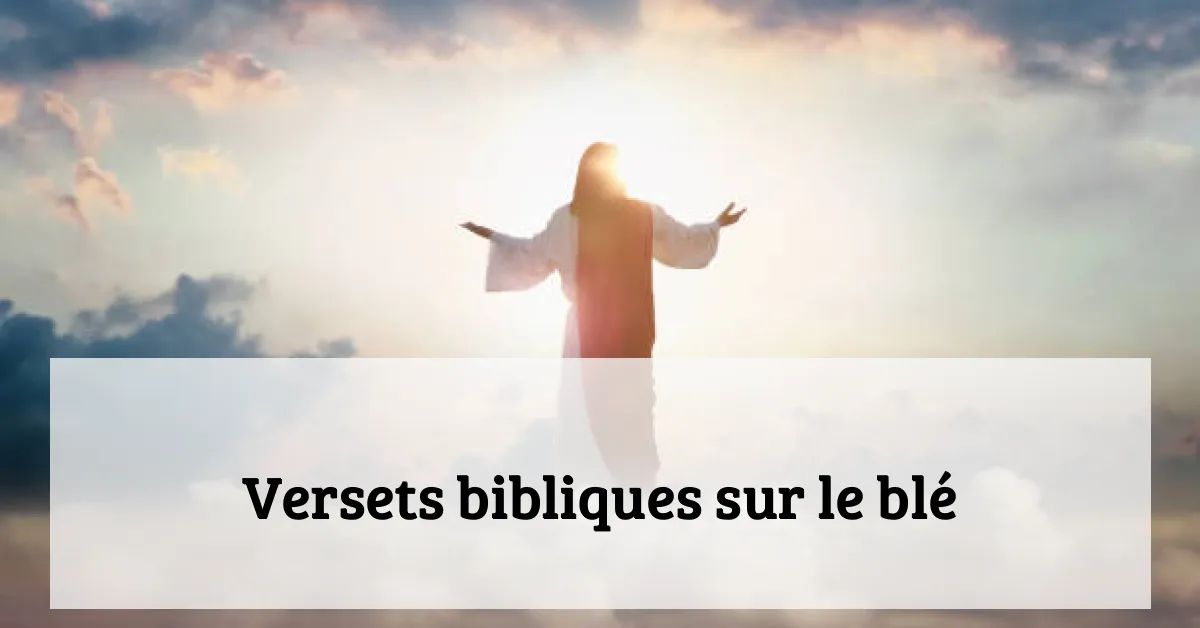 Versets bibliques sur le blé