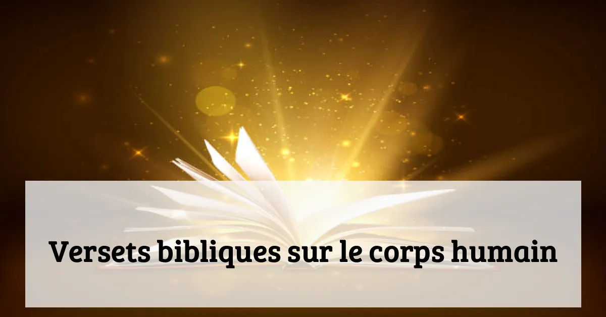 Versets bibliques sur le corps humain